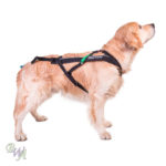 Non-stop dogwear Freemotion Harness Gr 8